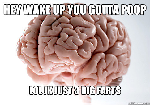 HEY WAKE UP YOU GOTTA POOP LOL JK JUST 3 BIG FARTS - HEY WAKE UP YOU GOTTA POOP LOL JK JUST 3 BIG FARTS  Scumbag Brain