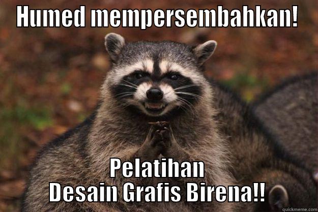 HUMED MEMPERSEMBAHKAN! PELATIHAN DESAIN GRAFIS BIRENA!! Evil Plotting Raccoon