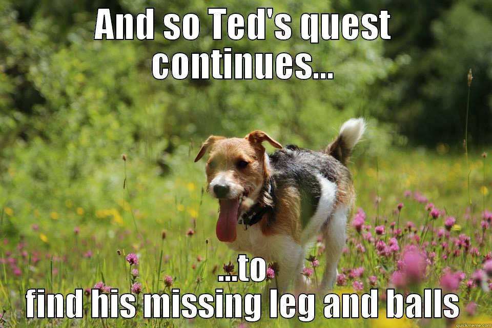 AND SO TED'S QUEST CONTINUES... ...TO FIND HIS MISSING LEG AND BALLS Misc