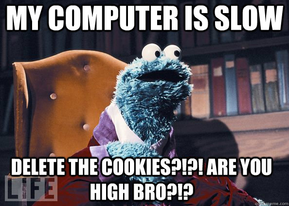 my computer is slow delete the cookies?!?! ARE YOU HIGH BRO?!?  Cookie Monster