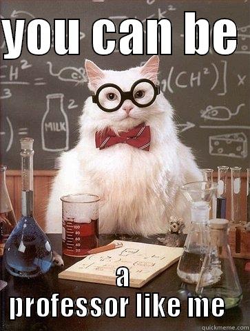 YOU CAN BE  A PROFESSOR LIKE ME   Chemistry Cat