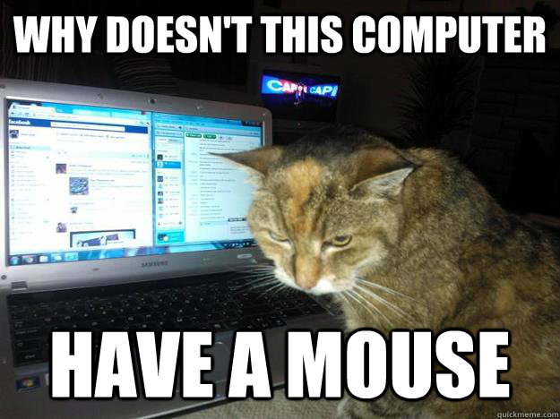 Why Doesnt This Computer Have A Mouse Angry Kitty Quickmeme