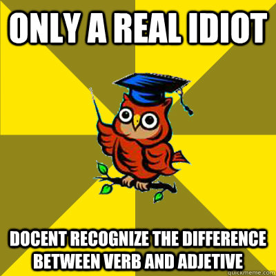 only a real idiot docent recognize the difference between verb and adjetive - only a real idiot docent recognize the difference between verb and adjetive  Observational Owl