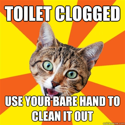 toilet clogged use your bare hand to clean it out - toilet clogged use your bare hand to clean it out  Bad Advice Cat