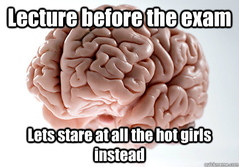 Lecture before the exam Lets stare at all the hot girls instead   Scumbag Brain