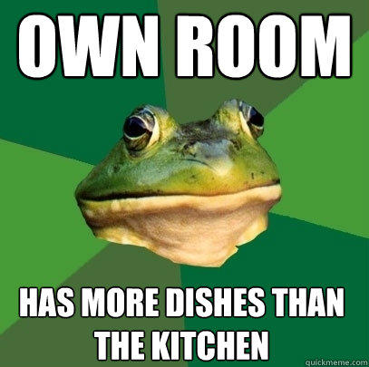 Own Room has more dishes than the kitchen  Foul Bachelor Frog