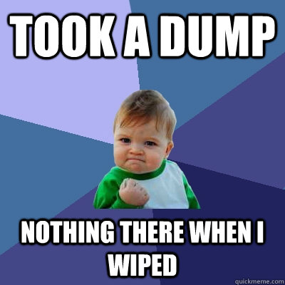 Took a dump Nothing there when I wiped - Took a dump Nothing there when I wiped  Success Kid