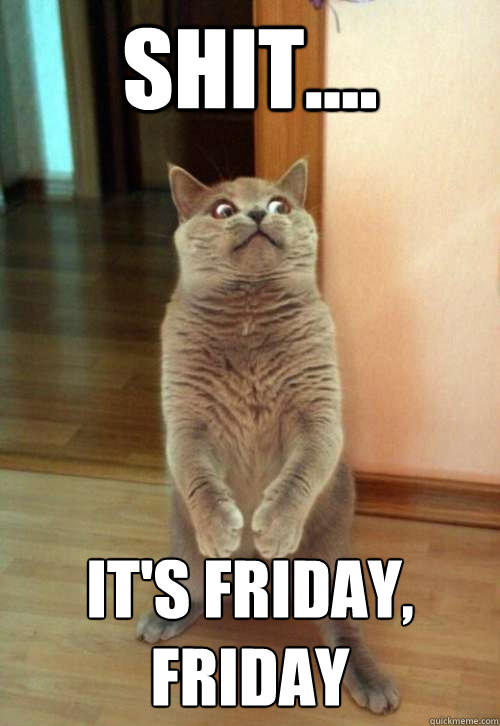 Shit.... It's friday, friday - Shit.... It's friday, friday  Horrorcat