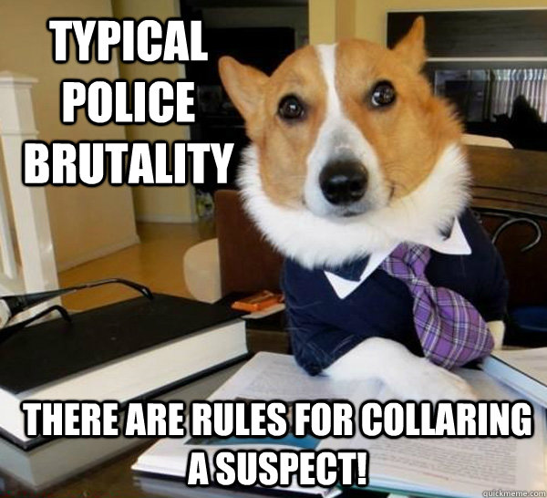 Typical Police Brutality There are rules for collaring a suspect!  Lawyer Dog