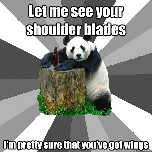 Let me see your shoulder blades I'm pretty sure that you've got wings  Pickup-Line Panda