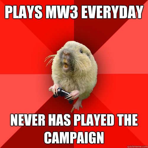 plays mw3 everyday never has played the campaign   Gaming Gopher