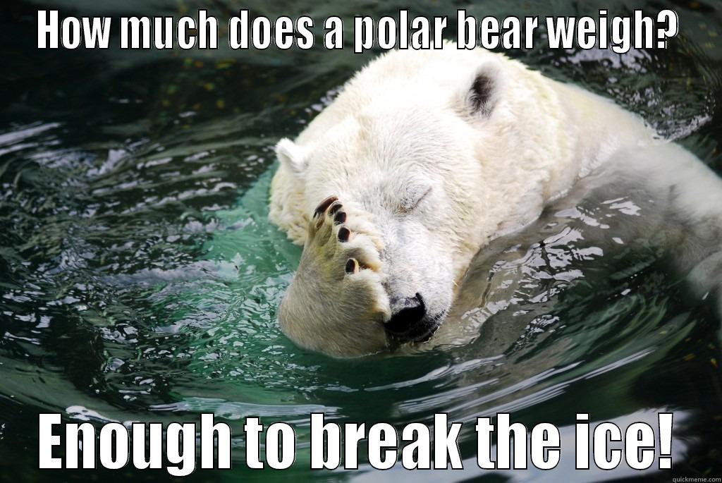 HOW MUCH DOES A POLAR BEAR WEIGH? ENOUGH TO BREAK THE ICE! Misc