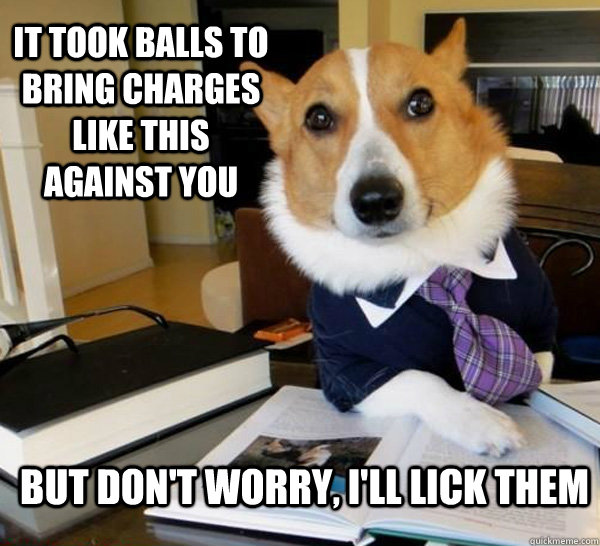 It took balls to bring charges like this against you but don't worry, i'll lick them  Lawyer Dog