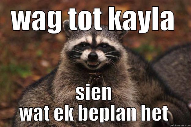 WAG TOT KAYLA SIEN WAT EK BEPLAN HET Evil Plotting Raccoon