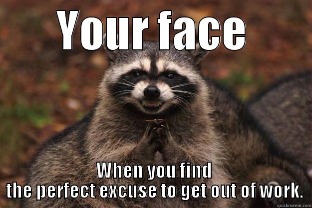 YOUR FACE WHEN YOU FIND THE PERFECT EXCUSE TO GET OUT OF WORK. Evil Plotting Raccoon