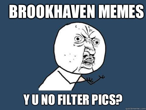 Brookhaven Memes y u no filter pics?  Y U No