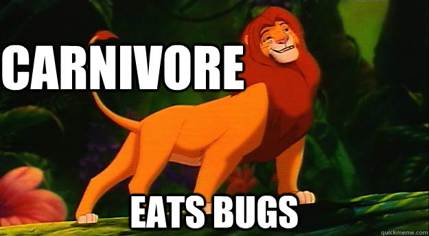 carnivore eats bugs  - carnivore eats bugs   Disney Logic