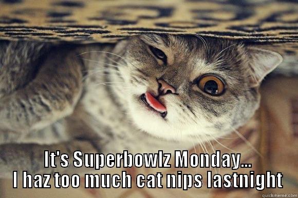  IT'S SUPERBOWLZ MONDAY... I HAZ TOO MUCH CAT NIPS LASTNIGHT Misc