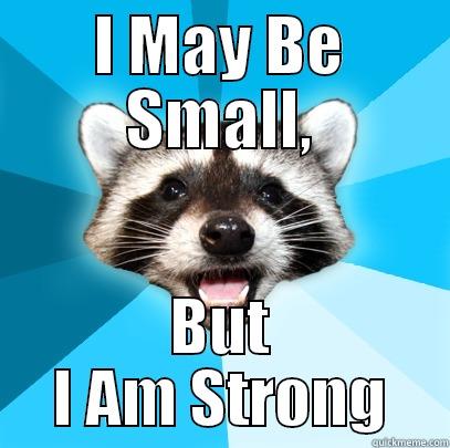 I MAY BE SMALL, BUT I AM STRONG Lame Pun Coon