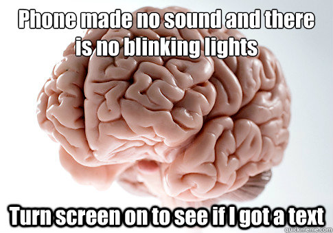 Phone made no sound and there is no blinking lights
 Turn screen on to see if I got a text  Scumbag Brain