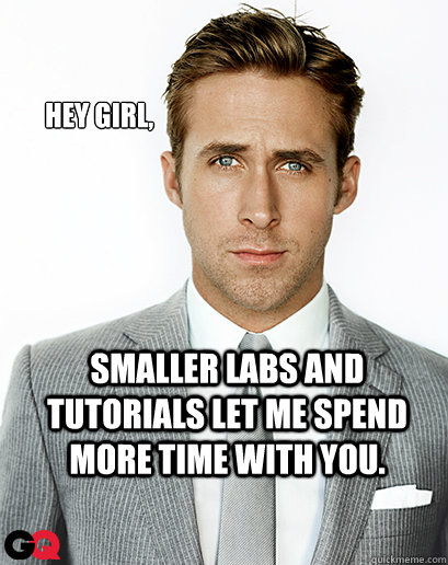 Hey girl, Smaller labs and tutorials let me spend more time with you.  Ryan Gosling