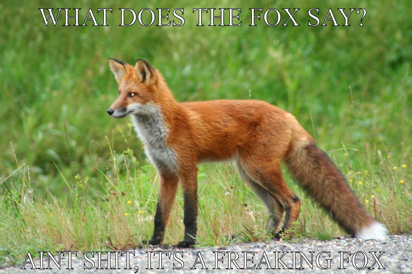 what-does-the-fox-say-quickmeme