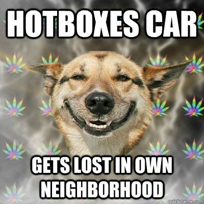Hotboxes Car Gets lost in own neighborhood  