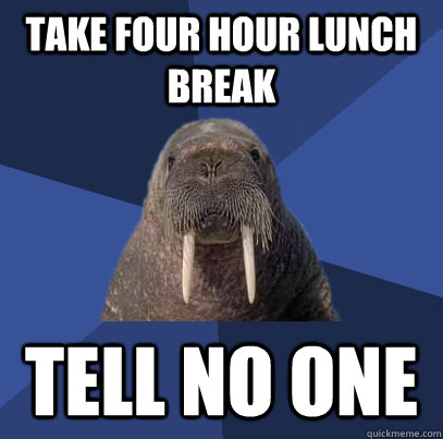 take four hour lunch break tell no one  Web Developer Walrus