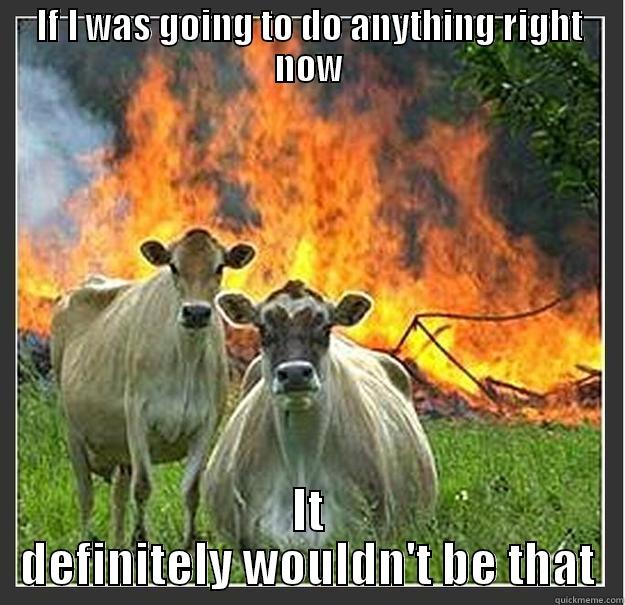 Liz quote - IF I WAS GOING TO DO ANYTHING RIGHT NOW IT DEFINITELY WOULDN'T BE THAT Evil cows