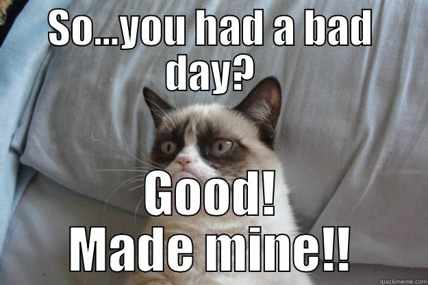 SO…YOU HAD A BAD DAY? GOOD! MADE MINE!! Grumpy Cat