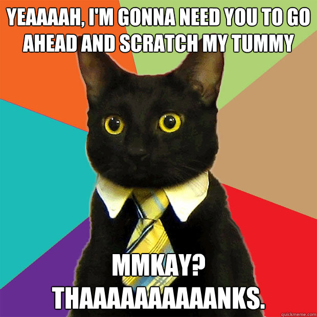 Yeaaaah, I'm gonna need you to go ahead and scratch my tummy Mmkay? Thaaaaaaaaaanks.  Business Cat