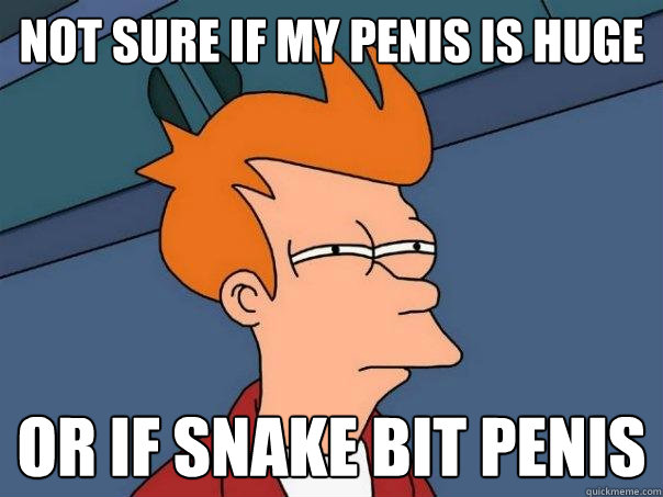 NOT SURE IF MY PENIS IS HUGE OR IF SNAKE BIT PENIS - NOT SURE IF MY PENIS IS HUGE OR IF SNAKE BIT PENIS  Futurama Fry