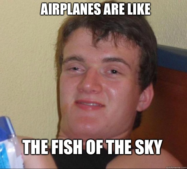 Airplanes are like The fish of the sky  10 Guy