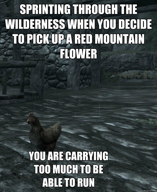 sprinting through the wilderness when you decide to pick up a red mountain flower
  you are carrying too much to be able to run  Skyrim Logic