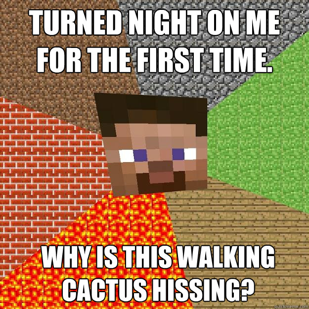 Turned night on me for the first time. Why is this walking cactus hissing?  Minecraft