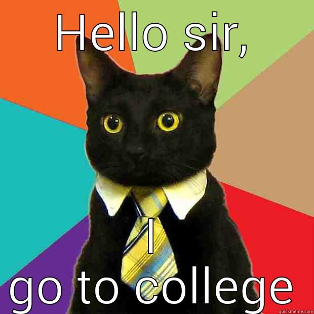 HELLO SIR, I GO TO COLLEGE Business Cat