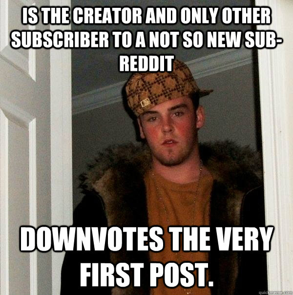 Is the creator and only other subscriber to a not so new sub-reddit Downvotes the very first post. - Is the creator and only other subscriber to a not so new sub-reddit Downvotes the very first post.  Scumbag Steve