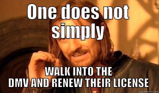 ONE DOES NOT SIMPLY WALK INTO THE DMV AND RENEW THEIR LICENSE Boromir