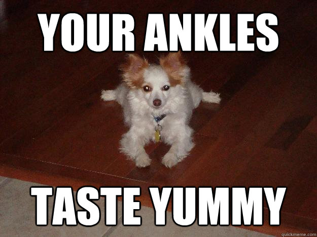 Your ankles   Taste yummy  