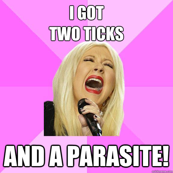 I got 
Two ticks And a parasite!  Wrong Lyrics Christina