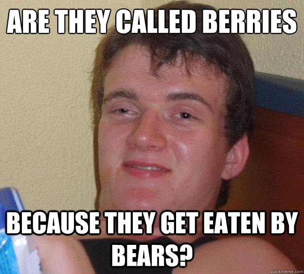 Are they called berries because they get eaten by bears?  10 Guy