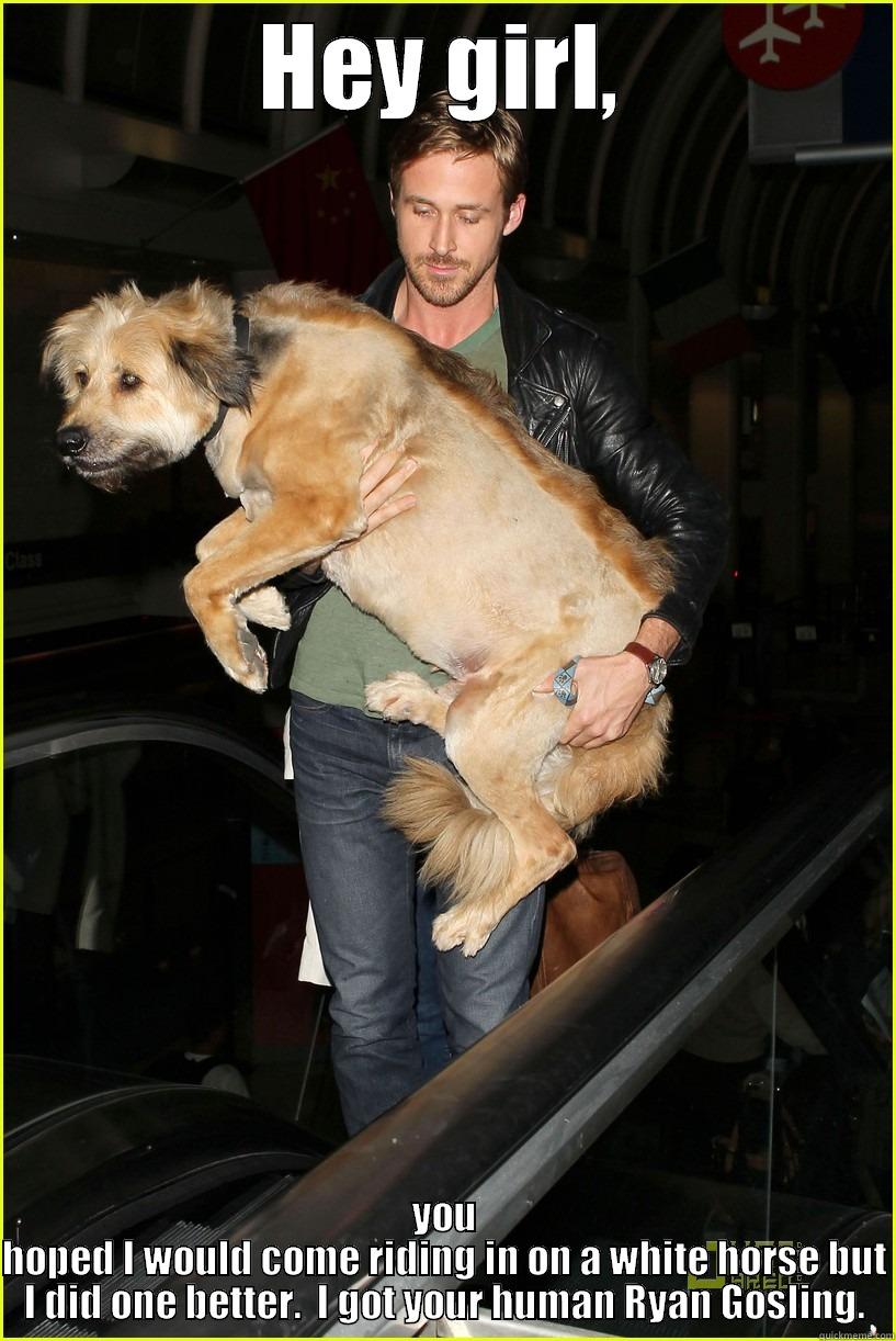 HEY GIRL, YOU HOPED I WOULD COME RIDING IN ON A WHITE HORSE BUT I DID ONE BETTER.  I GOT YOUR HUMAN RYAN GOSLING. Misc