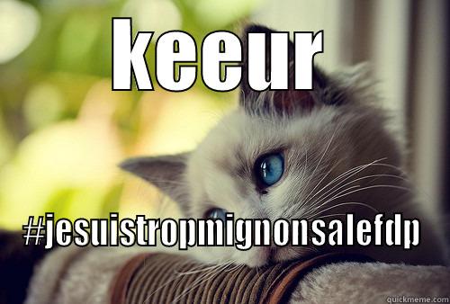 KEEUR #JESUISTROPMIGNONSALEFDP First World Problems Cat