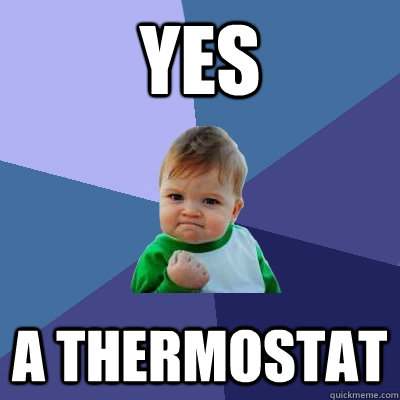 yes a thermostat  Success Kid