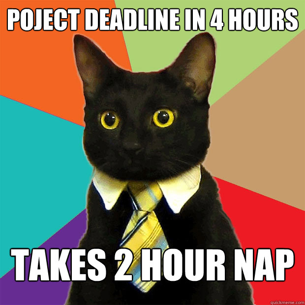 poject deadline in 4 hours takes 2 hour nap  Business Cat