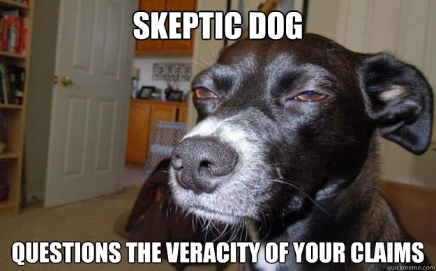 Skeptic dog questions the veracity of your claims - Skeptic dog questions the veracity of your claims  Skeptical Mutt