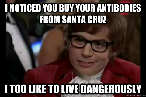 I noticed you buy your antibodies from santa cruz i too like to live dangerously  Dangerously - Austin Powers