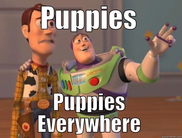 PUPPIES PUPPIES EVERYWHERE Toy Story