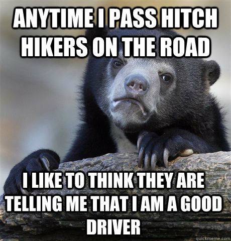 Anytime I pass hitch hikers on the road I like to think they are telling me that I am a good driver - Anytime I pass hitch hikers on the road I like to think they are telling me that I am a good driver  Confession Bear