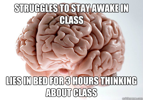 Struggles to stay awake in class Lies in bed for 3 hours thinking about class  Scumbag Brain